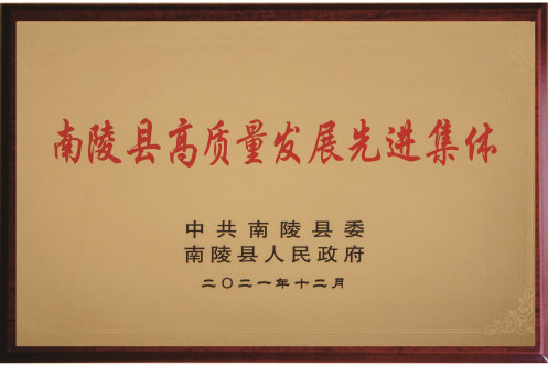 南陵縣高質量發展先進集體